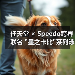 任天堂 × Speedo跨界联名 任天堂 × Speedo跨界联名