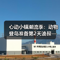 心动小镇潮流季:动物登岛准备第2天波叔—心动小镇(图3) 心动小镇潮流季:动物登岛准备第2天波叔—心动小镇(图3)