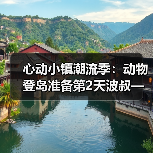 心动小镇潮流季:动物登岛准备第2天波叔—心动小镇(图2) 心动小镇潮流季:动物登岛准备第2天波叔—心动小镇(图2)