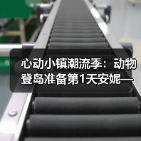 心动小镇潮流季:动物登岛准备第1天安妮—心动小镇(图3) 心动小镇潮流季:动物登岛准备第1天安妮—心动小镇(图3)