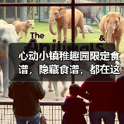 心动小镇稚趣园限定食谱,隐藏食谱,都在这啦(图2) 心动小镇稚趣园限定食谱,隐藏食谱,都在这啦(图2)