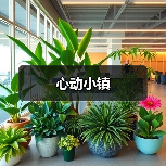 心动小镇(图4) 心动小镇(图4)