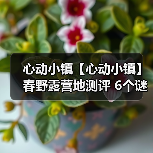 心动小镇【心动小镇】春野露营地测评 6个谜面位置(图4) 心动小镇【心动小镇】春野露营地测评 6个谜面位置(图4)