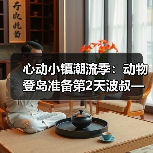 心动小镇潮流季：动物登岛准备第2天波叔—心动小镇（图4）