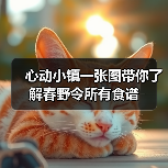 心动小镇一张图带你了解春野令所有食谱