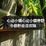 心动小镇心动小镇春野令最新食谱攻略（图3）