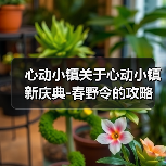 心动小镇关于心动小镇新庆典-春野令的攻略(图4) 心动小镇关于心动小镇新庆典-春野令的攻略(图4)