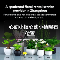 心动小镇心动小镇陨石位置(图3) 心动小镇心动小镇陨石位置(图3)