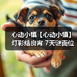 心动小镇【心动小镇】 灯彩结良宵 7天谜面位置汇总(图4) 心动小镇【心动小镇】 灯彩结良宵 7天谜面位置汇总(图4)