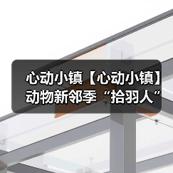 心动小镇【心动小镇】动物新邻季“拾羽人”隐藏称号(图4) 心动小镇【心动小镇】动物新邻季“拾羽人”隐藏称号(图4)
