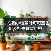 心动小镇茶叶可可豆售价及相关食谱价格(图3) 心动小镇茶叶可可豆售价及相关食谱价格(图3)