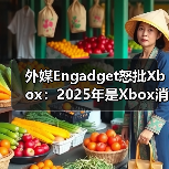 外媒Engadget怒批Xbox:2025年是Xbox消亡之年(图1) 外媒Engadget怒批Xbox:2025年是Xbox消亡之年(图1)