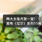 两大主角齐聚一堂! SE发布《尼尔》系列15周年纪念典藏套装(图2) 两大主角齐聚一堂! SE发布《尼尔》系列15周年纪念典藏套装(图2)