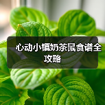 心动小镇奶茶鼠食谱全攻略（图1）