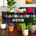 心动小镇心动小镇11级食谱攻略(图3) 心动小镇心动小镇11级食谱攻略(图3)