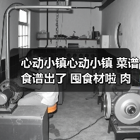心动小镇心动小镇 菜谱食谱出了 囤食材啦 肉有救啦