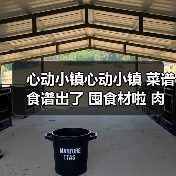 心动小镇心动小镇 菜谱食谱出了 囤食材啦 肉有救啦（图3）