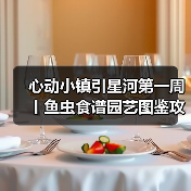 心动小镇引星河第一周丨鱼虫食谱园艺图鉴攻略合集(图1) 心动小镇引星河第一周丨鱼虫食谱园艺图鉴攻略合集(图1)