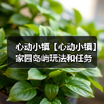 心动小镇【心动小镇】家园岛屿玩法和任务(图3) 心动小镇【心动小镇】家园岛屿玩法和任务(图3)