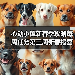 心动小镇新春季攻略每周任务第三周新春报喜鸟音乐会(图2) 心动小镇新春季攻略每周任务第三周新春报喜鸟音乐会(图2)