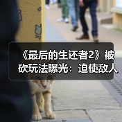 《最后的生还者2》被砍玩法曝光:迫使敌人举手投降(图1) 《最后的生还者2》被砍玩法曝光:迫使敌人举手投降(图1)