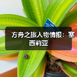 方舟之旅人物情报：塞西莉亚（图1）