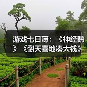 游戏七日薄:《神经鹅》《翻天喜地凑大钱》领衔!(图1) 游戏七日薄:《神经鹅》《翻天喜地凑大钱》领衔!(图1)