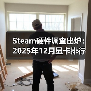 Steam硬件调查出炉:2025年12月显卡排行榜公布(图2) Steam硬件调查出炉:2025年12月显卡排行榜公布(图2)