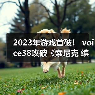 2023年游戏首破! voice38攻破《索尼克 缤纷色彩 究极版》D加密(图4) 2023年游戏首破! voice38攻破《索尼克 缤纷色彩 究极版》D加密(图4)