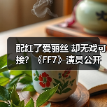配红了爱丽丝 却无戏可接？《FF7》演员公开配音困境（图4）