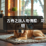 方舟之旅人物情报:龙胆(图2) 方舟之旅人物情报:龙胆(图2)