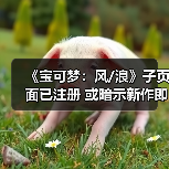 《宝可梦:风/浪》子页面已注册 或暗示新作即将公布(图4) 《宝可梦:风/浪》子页面已注册 或暗示新作即将公布(图4)
