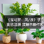 《宝可梦：风/浪》子页面已注册 或暗示新