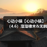 心动小镇【心动小镇】(4.6)溜溜橡木&无暇萤石(图3) 心动小镇【心动小镇】(4.6)溜溜橡木&无暇萤石(图3)