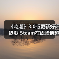 《鸣潮》3.0版更新好评热潮 Steam在线峰值超4万新记录(图2) 《鸣潮》3.0版更新好评热潮 Steam在线峰值超4万新记录(图2)