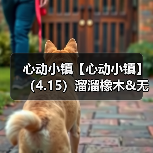 心动小镇【心动小镇】(4.15)溜溜橡木&无暇萤石(图1) 心动小镇【心动小镇】(4.15)溜溜橡木&无暇萤石(图1)