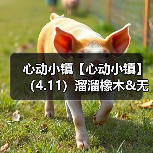 心动小镇【心动小镇】(4.11)溜溜橡木&无暇萤石(图4) 心动小镇【心动小镇】(4.11)溜溜橡木&无暇萤石(图4)