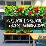 心动小镇【心动小镇】(4.30)溜溜橡木&无暇萤石(图3) 心动小镇【心动小镇】(4.30)溜溜橡木&无暇萤石(图3)