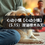 心动小镇【心动小镇】(5.15)溜溜橡木&无暇萤石(图2) 心动小镇【心动小镇】(5.15)溜溜橡木&无暇萤石(图2)