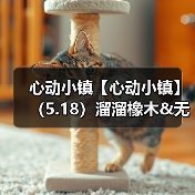 心动小镇【心动小镇】(5.18)溜溜橡木&无暇萤石(图3) 心动小镇【心动小镇】(5.18)溜溜橡木&无暇萤石(图3)