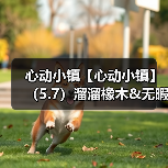 心动小镇【心动小镇】(5.7)溜溜橡木&无暇萤石(图2) 心动小镇【心动小镇】(5.7)溜溜橡木&无暇萤石(图2)