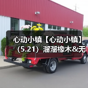 心动小镇【心动小镇】(5.21)溜溜橡木&无暇萤石(图2) 心动小镇【心动小镇】(5.21)溜溜橡木&无暇萤石(图2)