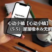 心动小镇【心动小镇】(5.5)溜溜橡木&无暇萤石(图4) 心动小镇【心动小镇】(5.5)溜溜橡木&无暇萤石(图4)