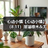 心动小镇【心动小镇】(8.11)溜溜橡木&无暇萤石(图2) 心动小镇【心动小镇】(8.11)溜溜橡木&无暇萤石(图2)