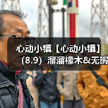 心动小镇【心动小镇】(8.9)溜溜橡木&无暇萤石(图1) 心动小镇【心动小镇】(8.9)溜溜橡木&无暇萤石(图1)