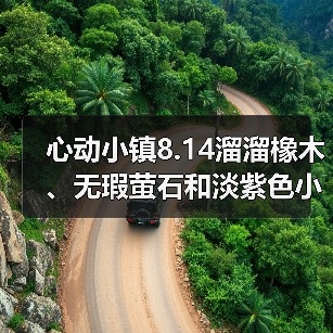 心动小镇8.14溜溜橡木、无瑕萤石和淡紫色小鸭子位置(图2) 心动小镇8.14溜溜橡木、无瑕萤石和淡紫色小鸭子位置(图2)