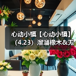心动小镇【心动小镇】（4.23）溜溜橡木&无暇萤石（图1）