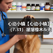 心动小镇【心动小镇】(7.31)溜溜橡木&无暇萤石(图2) 心动小镇【心动小镇】(7.31)溜溜橡木&无暇萤石(图2)