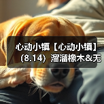 心动小镇【心动小镇】（8.14）溜溜橡木&无暇萤石（图1）