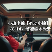 心动小镇【心动小镇】（8.14）溜溜橡木&无暇萤石（图4）